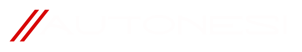 AutoNesi Logo